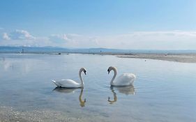 Sunshine am See
